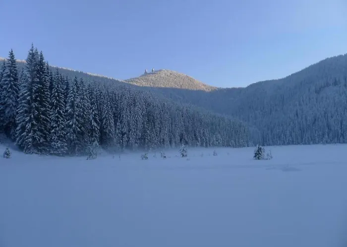 In Am Arbersee Vakantiehuis Rinchnach