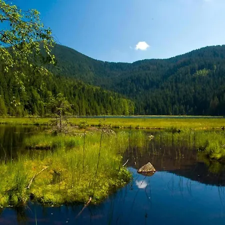 In Am Arbersee Rinchnach