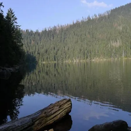 In Am Arbersee Prázdninový dům *