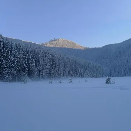In Am Arbersee Prázdninový dům Rinchnach