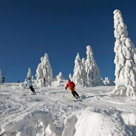 Prázdninový dům In Am Arbersee