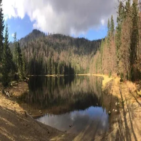 In Am Arbersee * Rinchnach