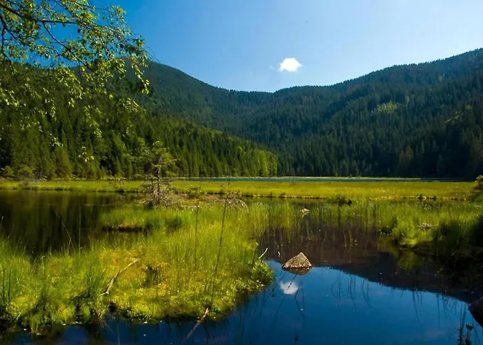 In Am Arbersee Rinchnach