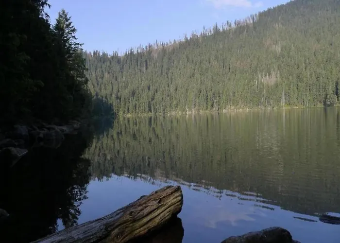 In Am Arbersee Дом отдыха *
