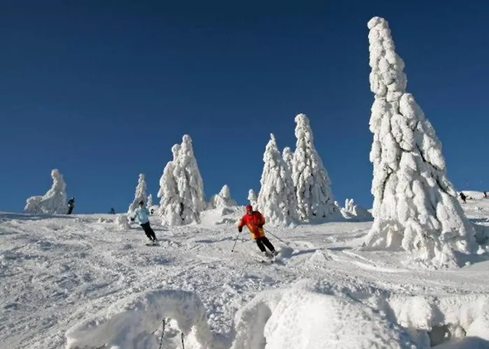 Дом отдыха In Am Arbersee