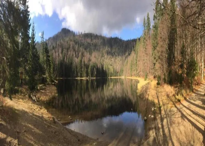 In Am Arbersee * Rinchnach